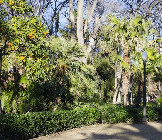 El Parc Ribalta tindrà prompte la cafeteria instalada en la caseta del pou