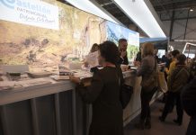 fitur 2018 estand diputacio