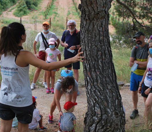 Celebrem amb la Natura realitza una ruta i una plantació de diverses espècies al paratge de la Magdalena