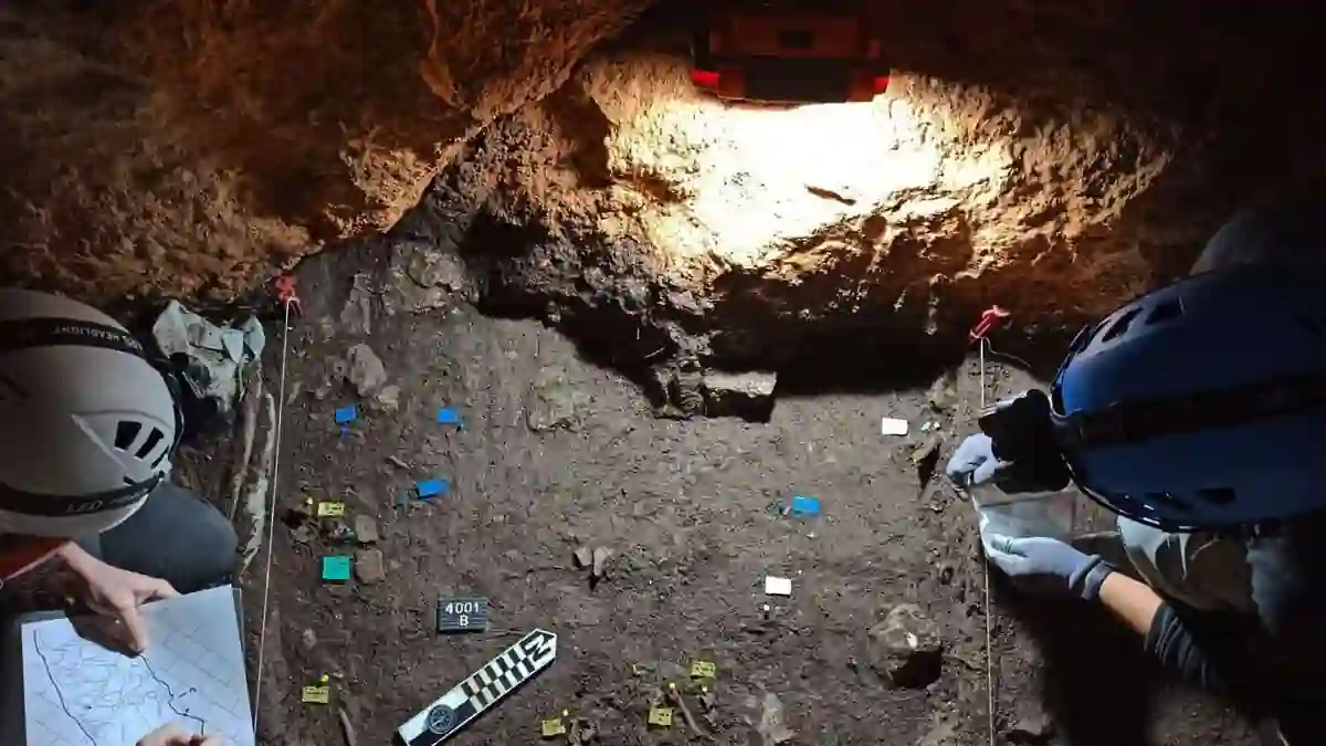 Arqueólogos trabajando en la cueva sepulcral de la Crebada-Cova dels Aragonesos en Atzeneta del Maestrat durante una excavación prehistórica