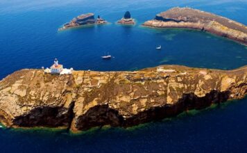 Excursión a las Islas Columbretes