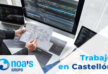 trabajo en castellon grupo noas