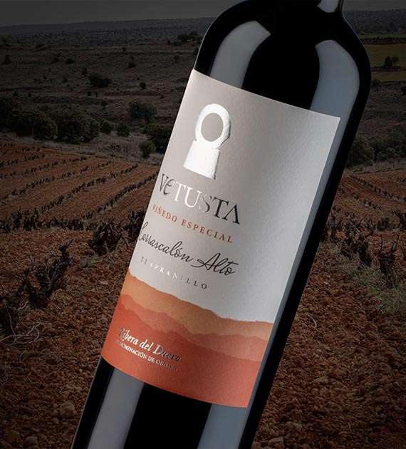 vinos de la ribera del duero