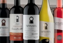 bodega de vinos