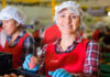 agroalimentario grupo noas valencia