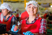 agroalimentario grupo noas valencia