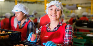 agroalimentario grupo noas valencia