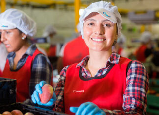 agroalimentario grupo noas valencia