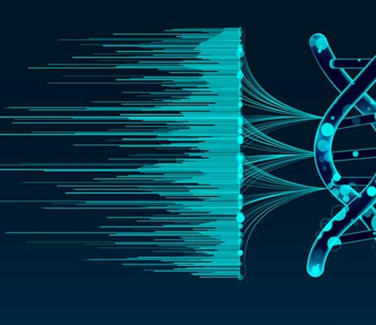 Bioinformática: descifra tu genoma con soluciones inteligentes gcgenomics a medida soluciones
