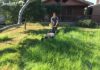 mantenimiento de jardines castellon y limpieza