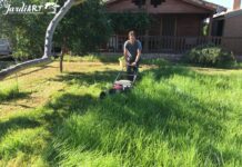 mantenimiento de jardines castellon y limpieza