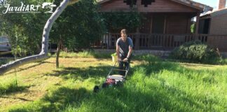 mantenimiento de jardines castellon y limpieza