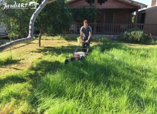 mantenimiento de jardines castellon y limpieza