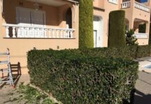 mantenimiento de jardines castellon2 y limpieza