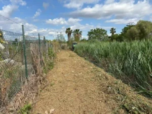 Limpieza de parcela en Puerto de Sagunto con maquinaria retirando maleza y restos vegetales en un terreno rural
