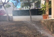 plantacion y abonado profesional Sagunto