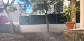 plantacion y abonado profesional Sagunto