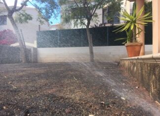plantacion y abonado profesional Sagunto