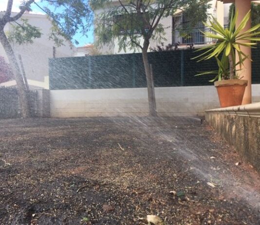 plantacion y abonado profesional Sagunto