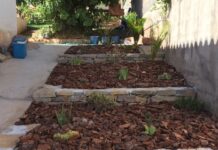 plantacion y abonado4