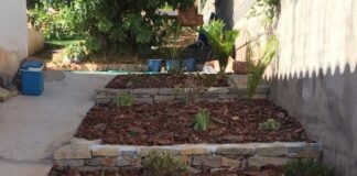 plantacion y abonado4