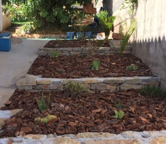 plantacion y abonado4