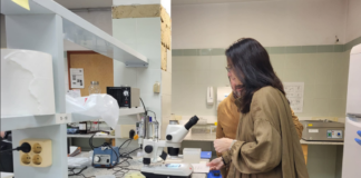 Castellón refuerza el control sanitario