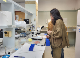 Castellón refuerza el control sanitario