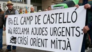 Manifestacion Agricultores Castellon
